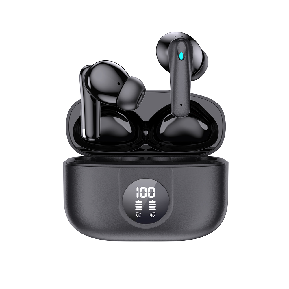 Digital panel display tws earbuds